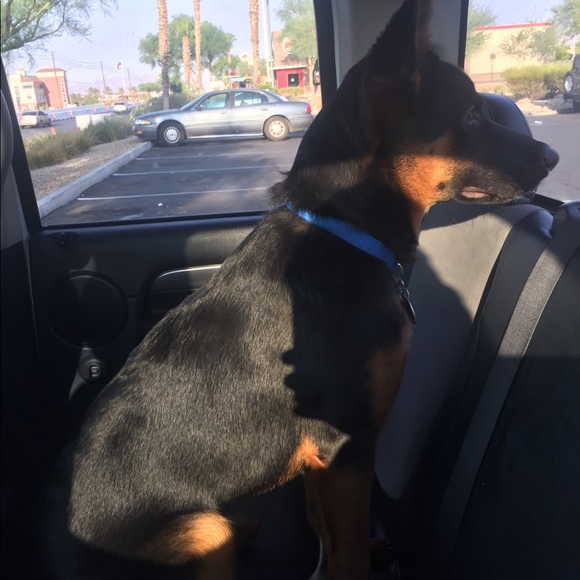 Meet your Posher, Joseph - Picture 1 of 1